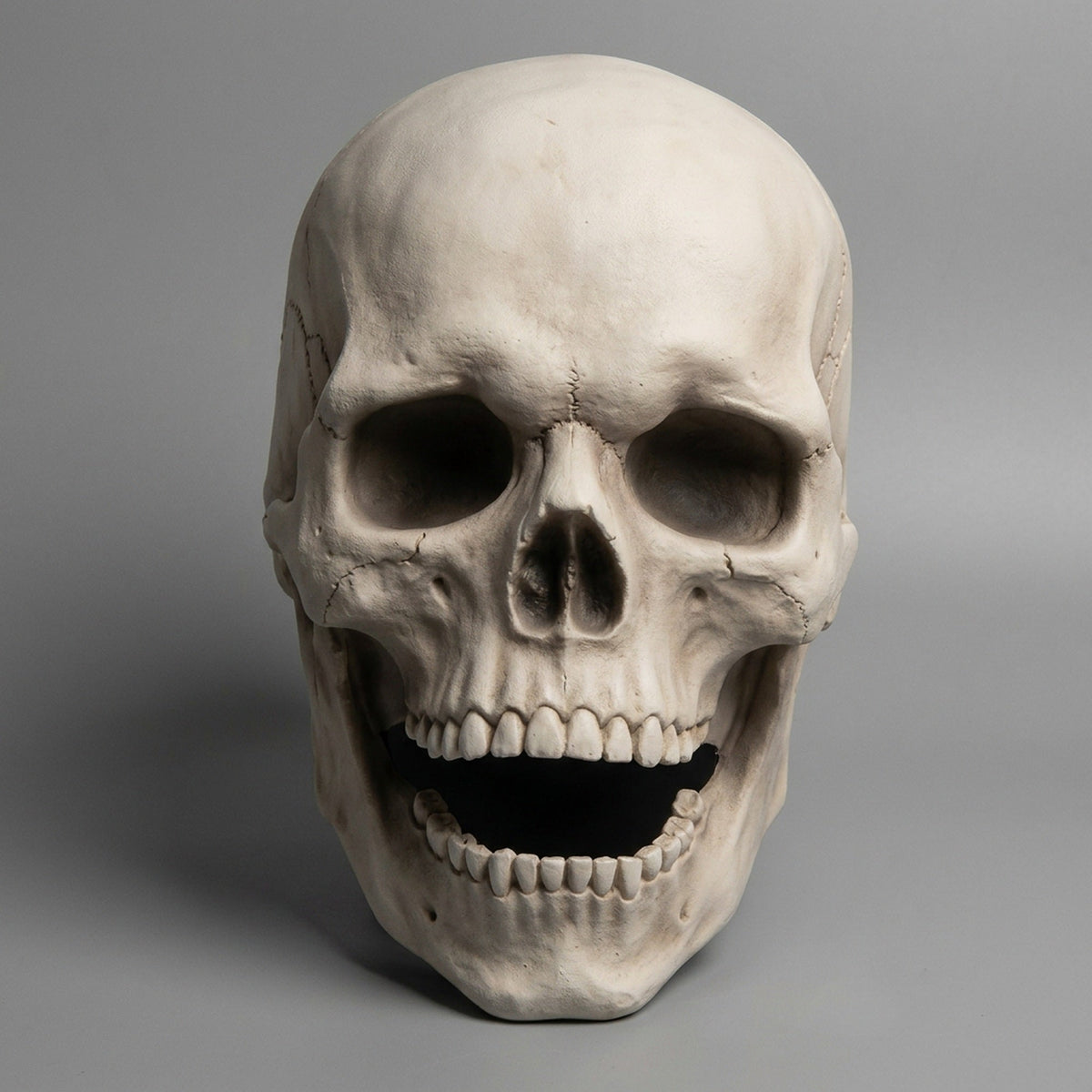Articulated Skeleton Head Costume with Hinged Lower Jaw for Adults – Pale & Aged Finishes | Thomler