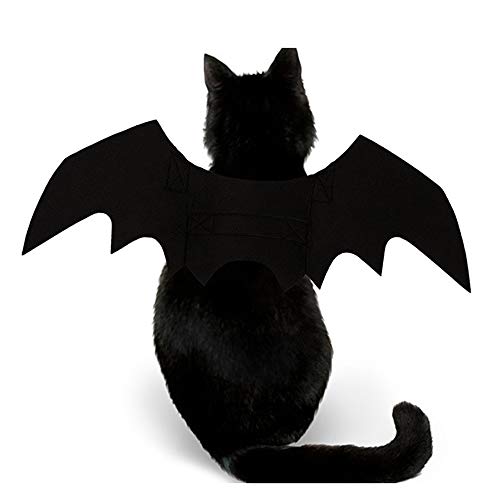 Pet Bat Wings Costume Accessory for Cats & Small Dogs – Halloween Dress-Up | Thomler