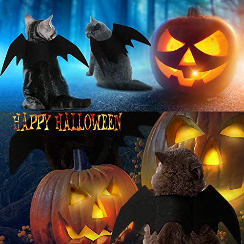 Pet Bat Wings Costume Accessory for Cats & Small Dogs – Halloween Dress-Up | Thomler