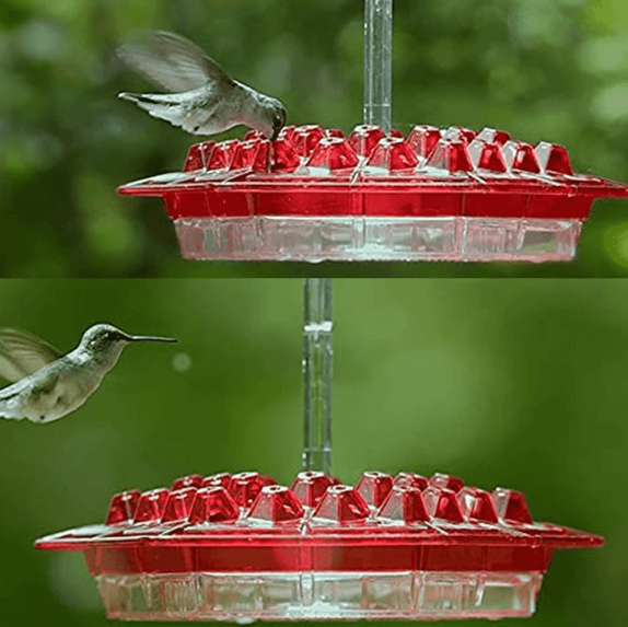 12 oz Hanging Hummingbird Feeder with 30 Feeding Ports & Built-In Ant Moat for Backyard Birds Outdoor Garden Patio Deck | Thomler