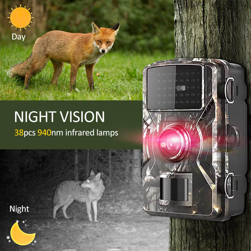 Motion-Activated Trail Camera with Night Vision – 1080p HD Waterproof Wildlife Cam for Outdoor Surveillance | Thomler