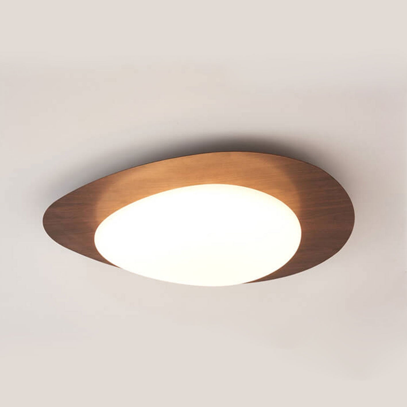 Flush Mount Ceiling Light Iron Acrylic 15.4 in Small Hallway Living Room Bedroom Adjustable LED Lighting | Thomler