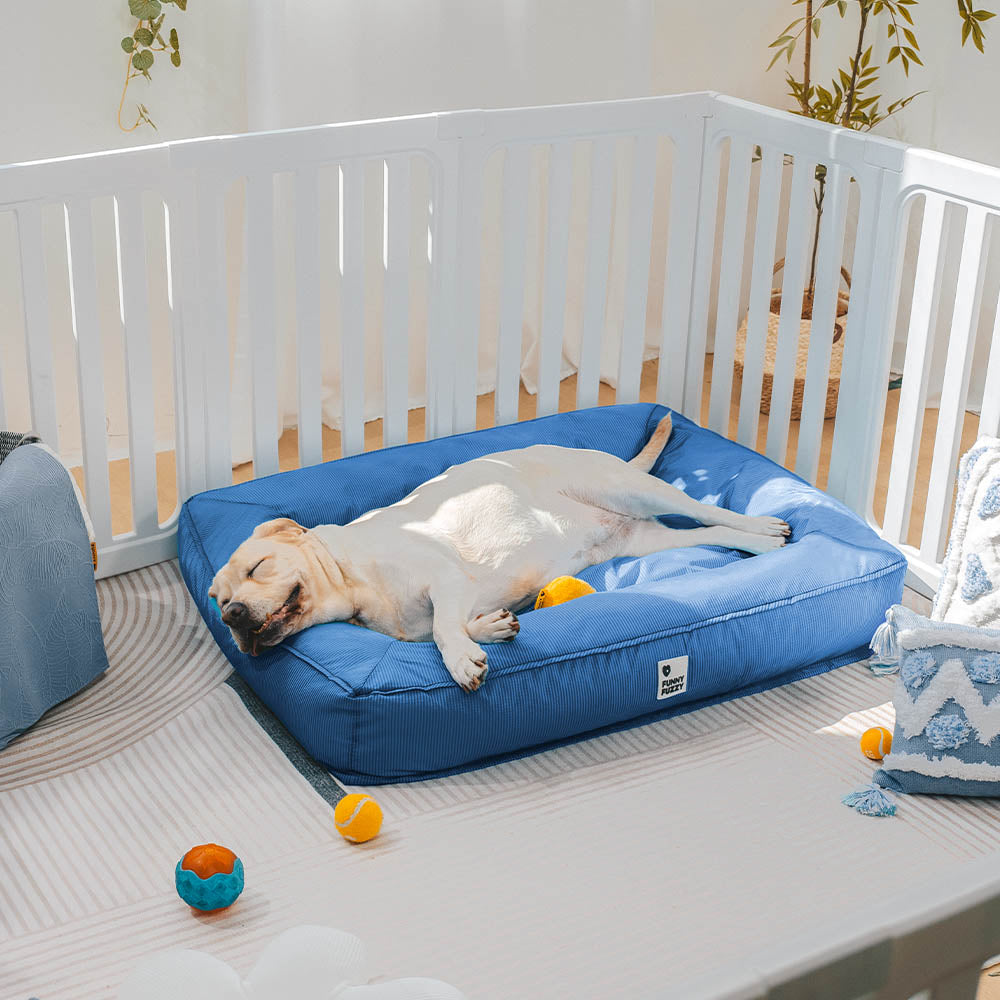Raised-Edge Bolster Dog Bed with Joint-Relief Foam & Liquid-Proof Cover for Large Breeds | Thomler