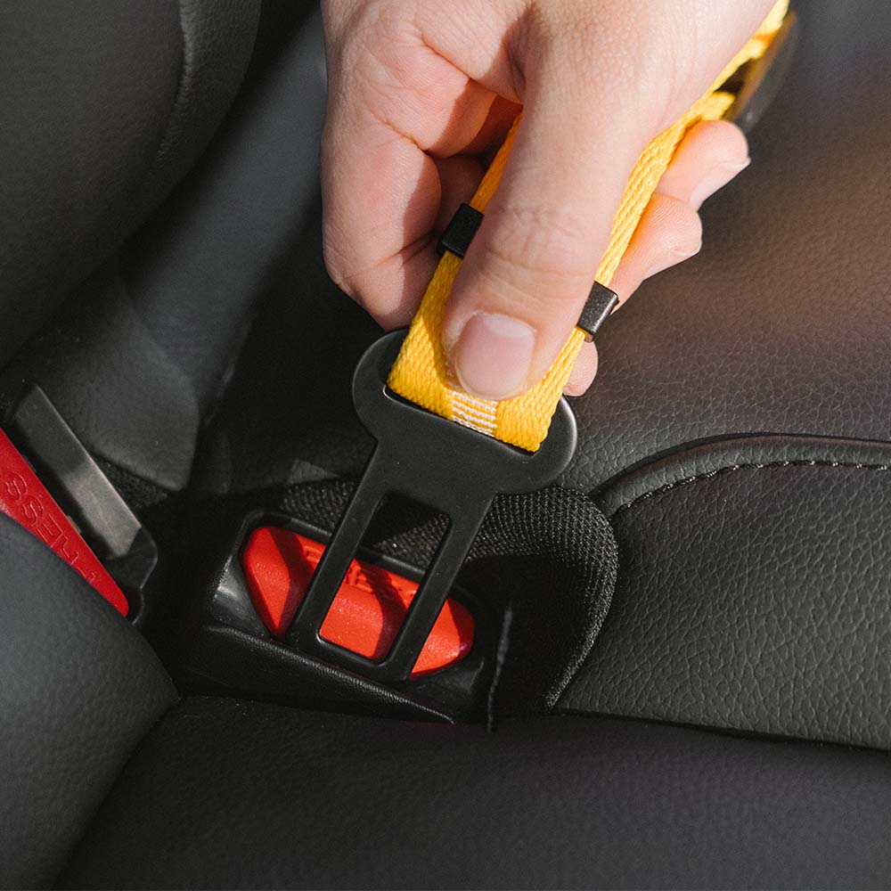 Adjustable Pet Safety Harness Tether for Car Travel with Reflective Strap & Elastic Shock Absorber for Dogs | Thomler