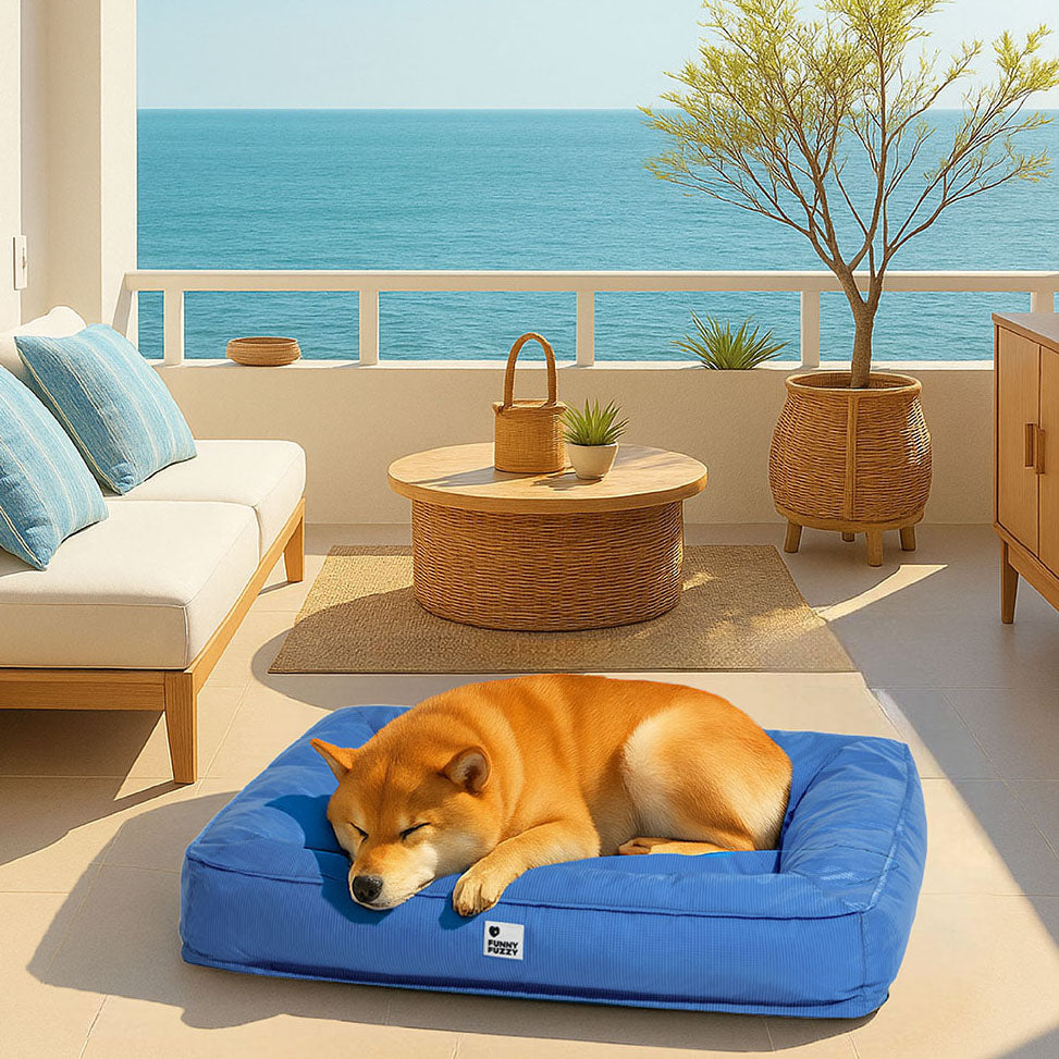 Raised-Edge Bolster Dog Bed with Joint-Relief Foam & Liquid-Proof Cover for Large Breeds | Thomler