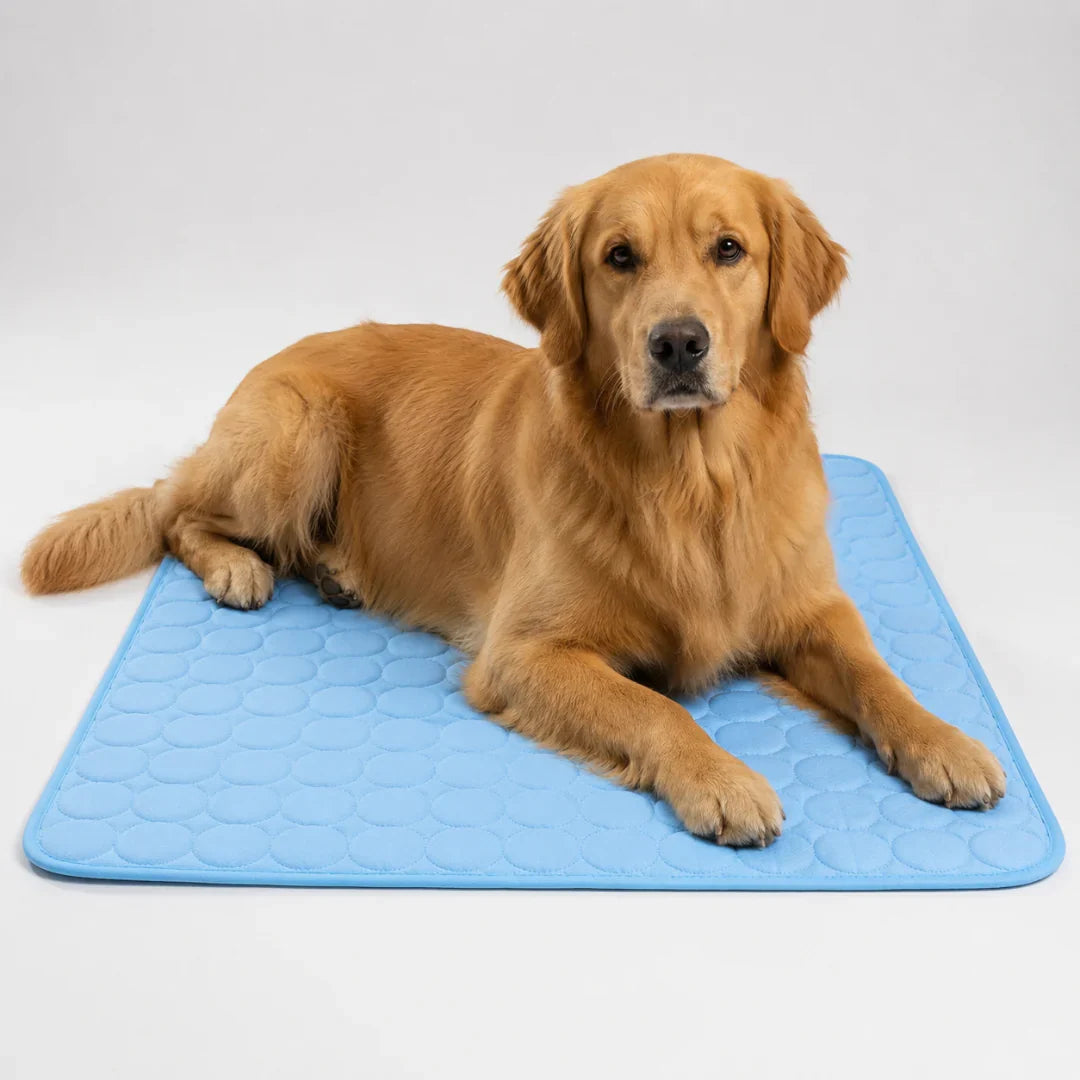 Machine-Washable Cool-Touch Pet Bed Pad for Dogs & Cats – Travel-Ready Foldable Chill Blanket for Summer Heat Relief, 6 Size Options for | Thomler