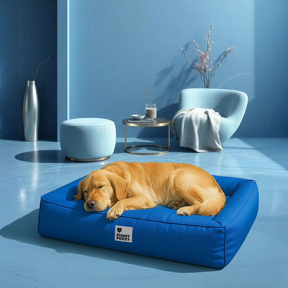 Raised-Edge Bolster Dog Bed with Joint-Relief Foam & Liquid-Proof Cover for Large Breeds | Thomler