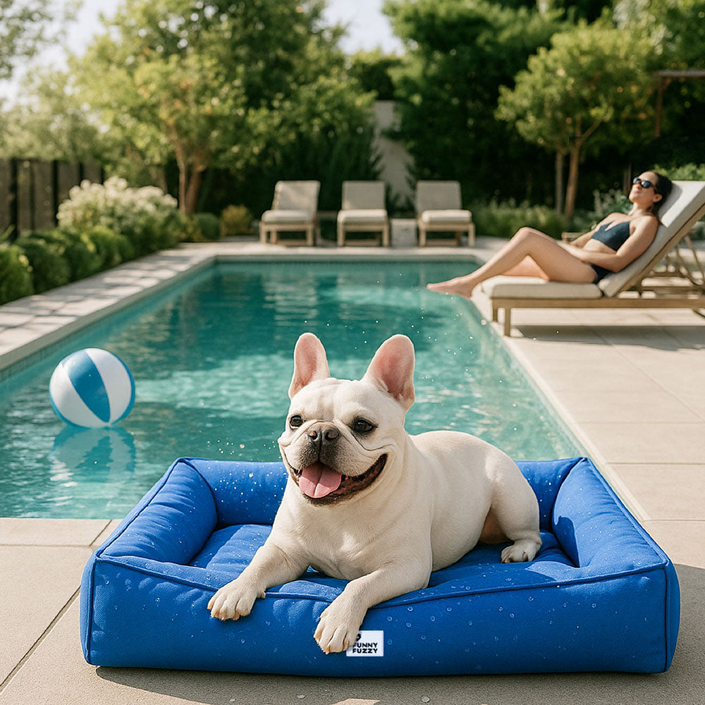 Raised-Edge Bolster Dog Bed with Joint-Relief Foam & Liquid-Proof Cover for Large Breeds | Thomler