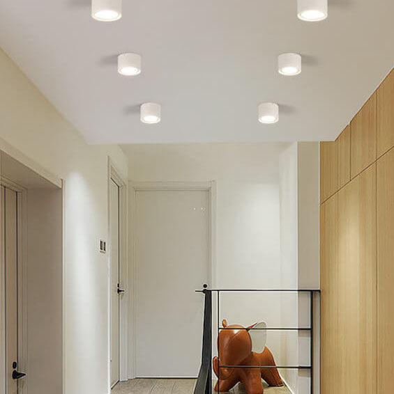 Adjustable Cylinder Spotlight – Surface Mount LED Ceiling Light – Directional Accent Fixture for Living Room, Hallway & Kitchen – Modern | Thomler