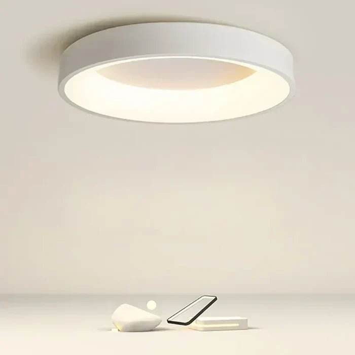 Round LED Flush Mount Ceiling Light | Modern Minimalist Design in White or Gray | 12 to 24 Inch Diameter | Energy-Efficient for Bedroom | Thomler