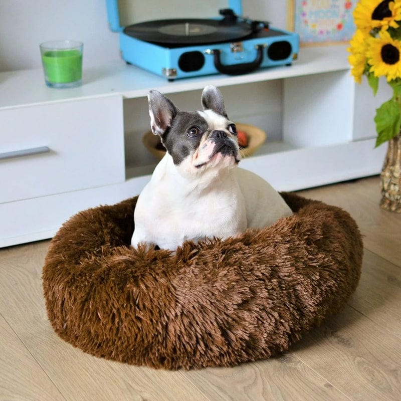 Round Plush Pet Bed with Raised Rim for Dogs & Cats | Anti-Anxiety Donut Cushion for Small Medium Large Pets | Machine Washable | Thomler