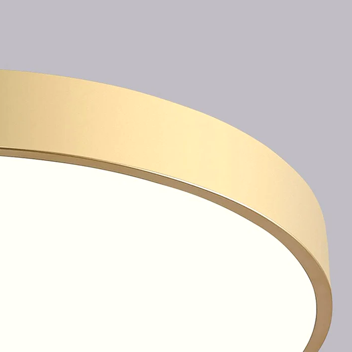 Round LED Ceiling Light Fixture Dimmable Modern Flush Mount for Living Room Bedroom Hallway Energy Efficient Lighting | Thomler