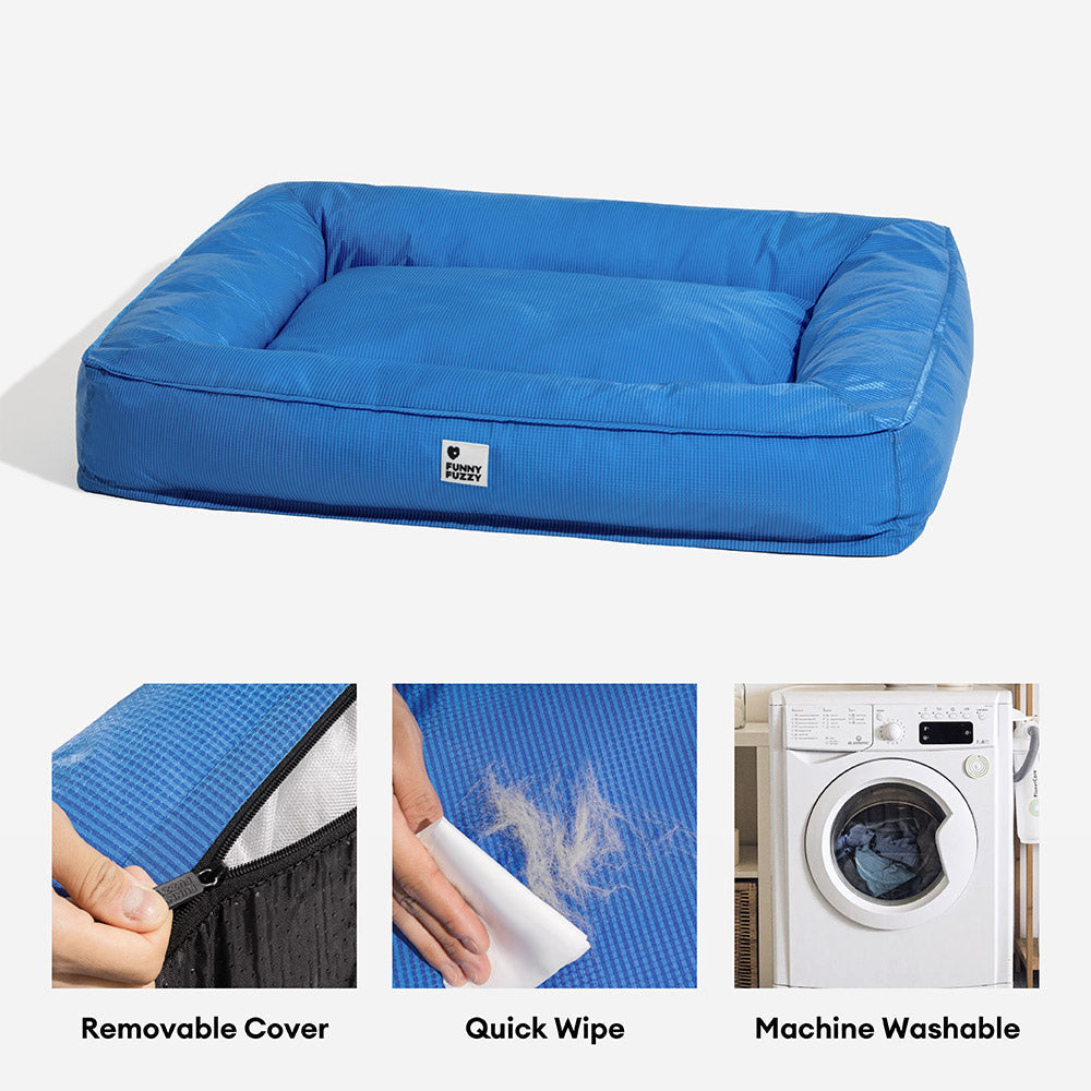 Raised-Edge Bolster Dog Bed with Joint-Relief Foam & Liquid-Proof Cover for Large Breeds | Thomler