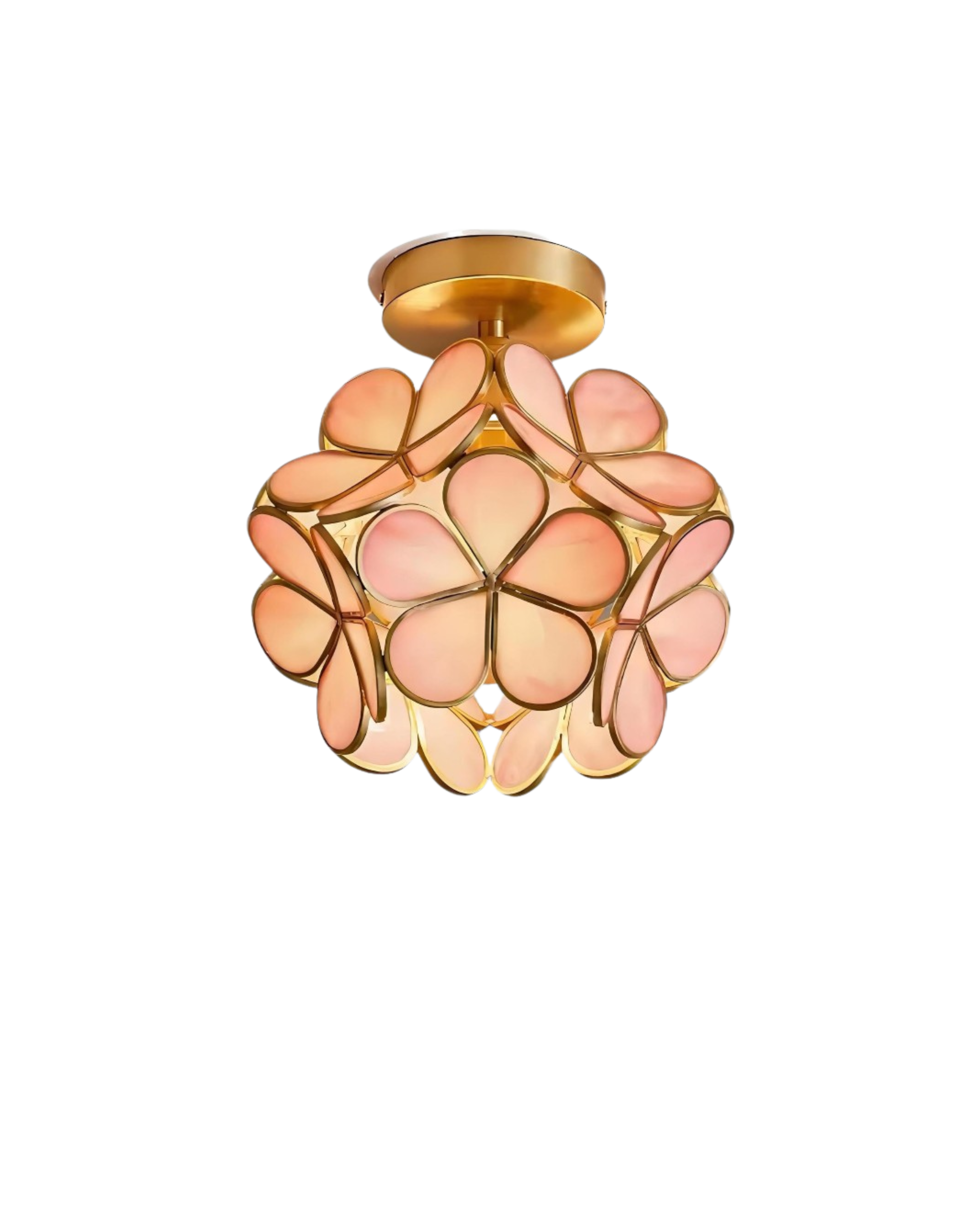 Ceiling Lamp Acrylic 20.0 cm (7.9") Gold Hallway Bedroom LED Floral Flush Mount Light Fixture | Thomler