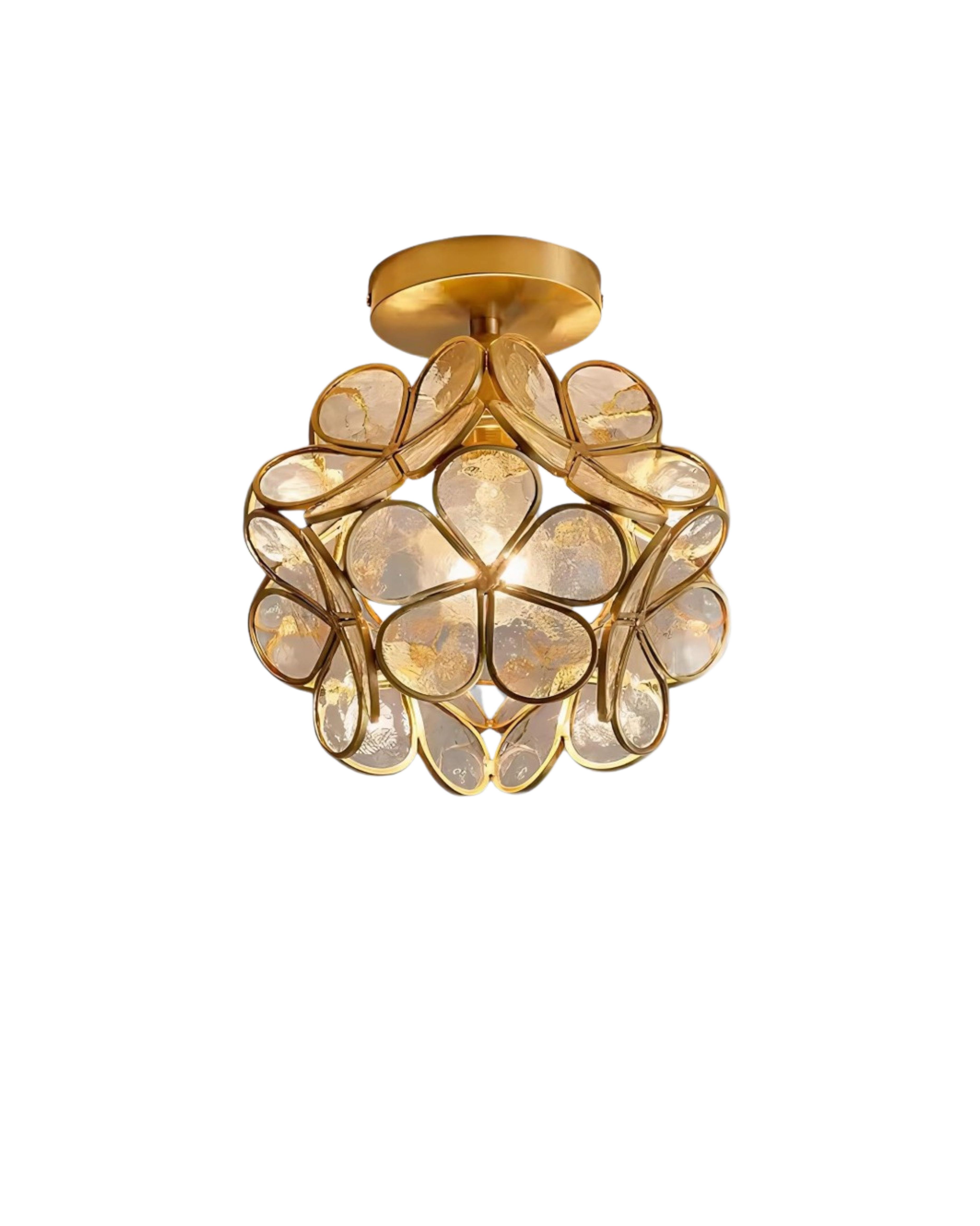 Ceiling Lamp Acrylic 20.0 cm (7.9") Gold Hallway Bedroom LED Floral Flush Mount Light Fixture | Thomler