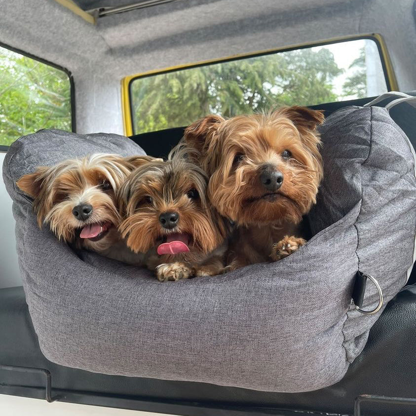 Portable Pet Carrier Booster Seat with Safety Harness and Washable Cover for Small Dogs | Thomler