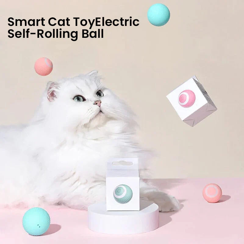 Automated Rolling Ball & Feather Prey Chase Toy for Cats – Motion-Activated Smart Play Mode | Thomler