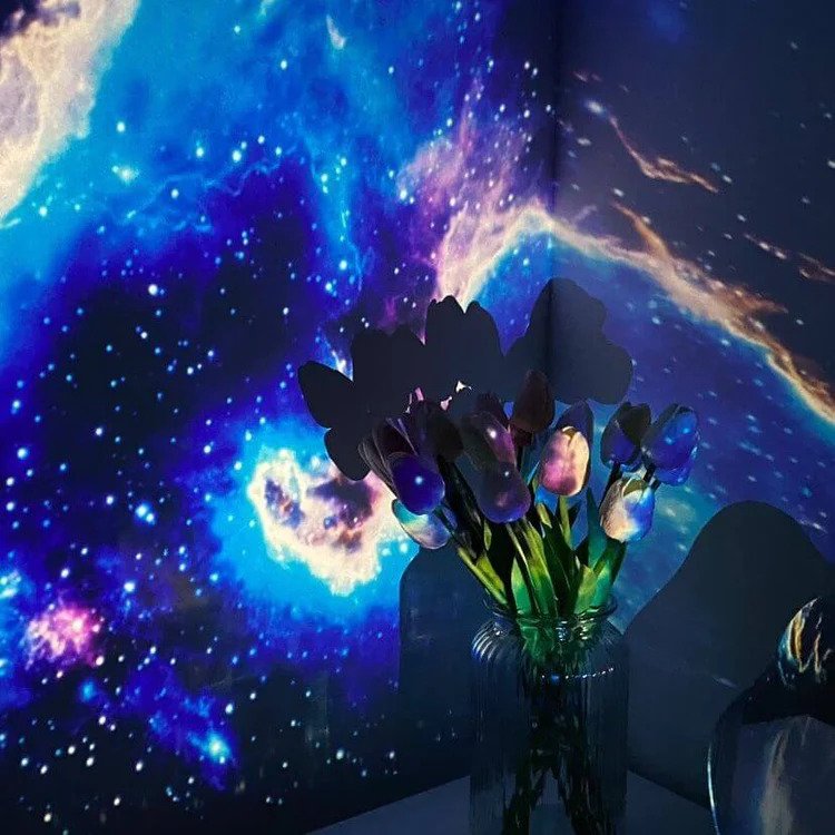Starry Sky Projector Multi Colour LED Bedroom Relaxation Galaxy Light Moving Stars Nebula Night Light Ambient Lighting | Thomler