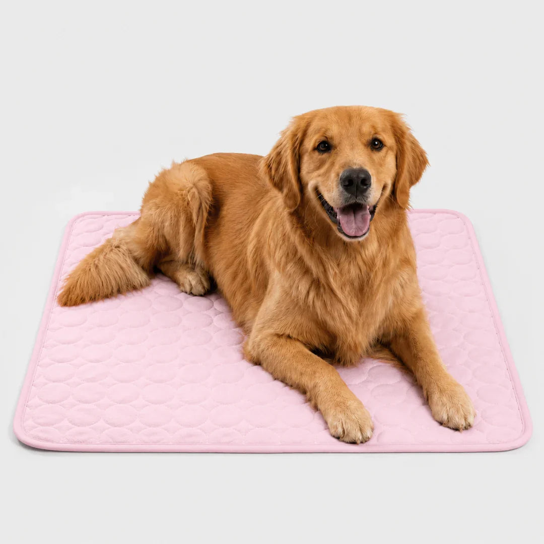 Machine-Washable Cool-Touch Pet Bed Pad for Dogs & Cats – Travel-Ready Foldable Chill Blanket for Summer Heat Relief, 6 Size Options for | Thomler