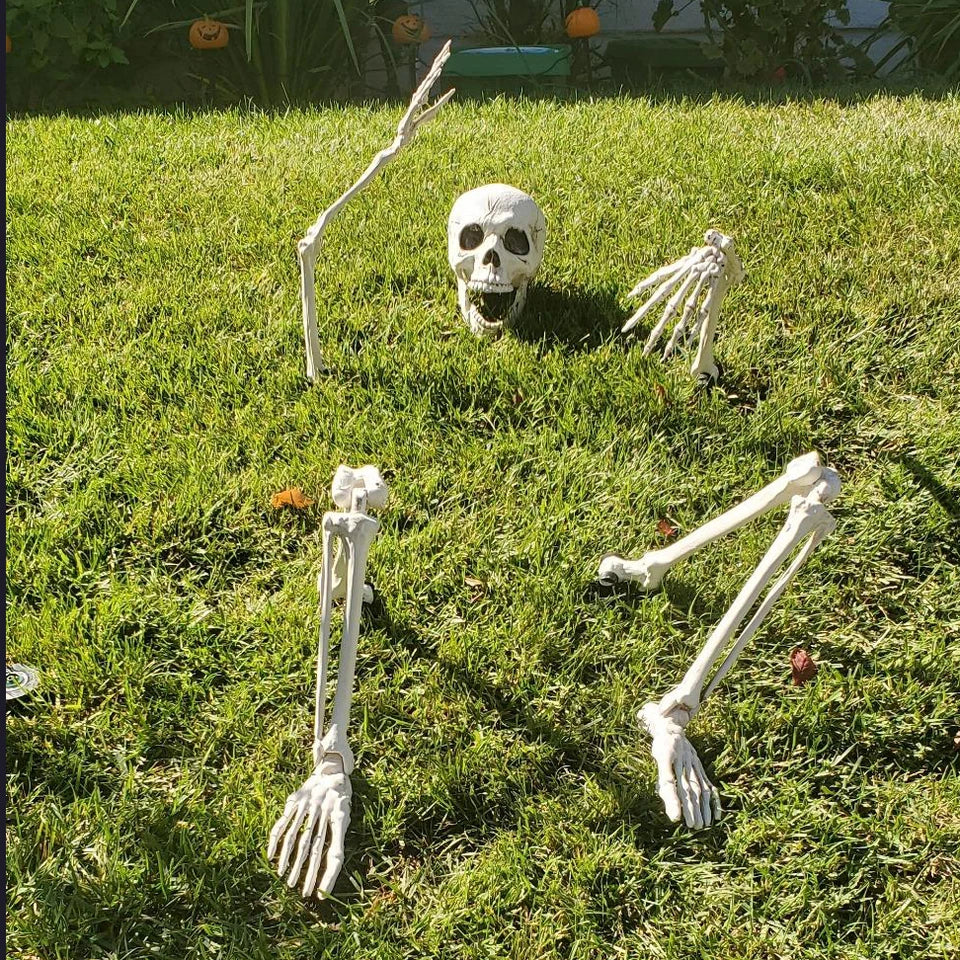 Creepy Graveyard Bone Hands – Spooky Yard Décor for Halloween Gardens, Porches & Outdoor Frightful Scenes | Thomler