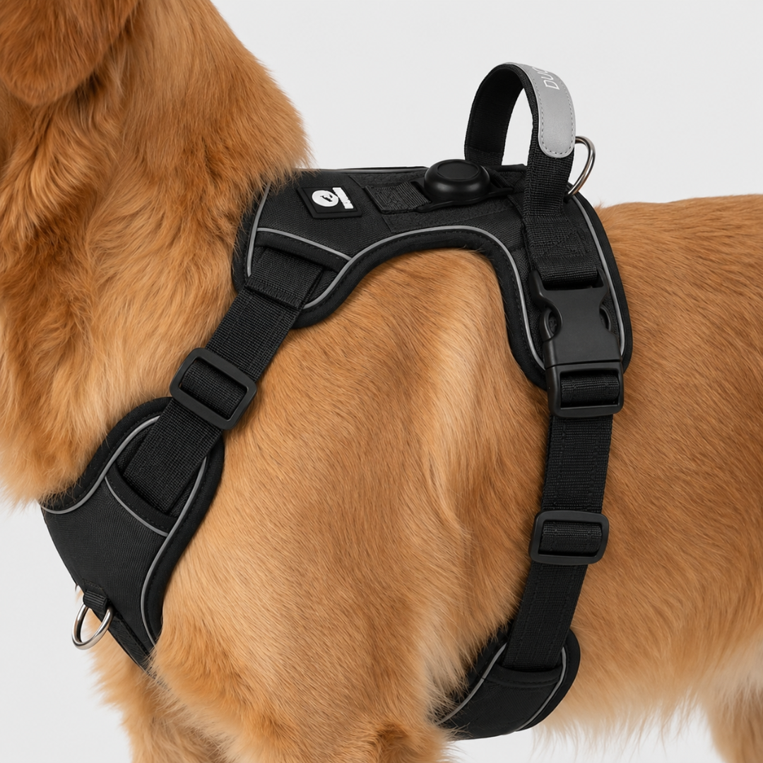 Adjustable Anti-Pull Dog Vest with Front Clip and Reflective Trim for Small to Large Breeds | Thomler
