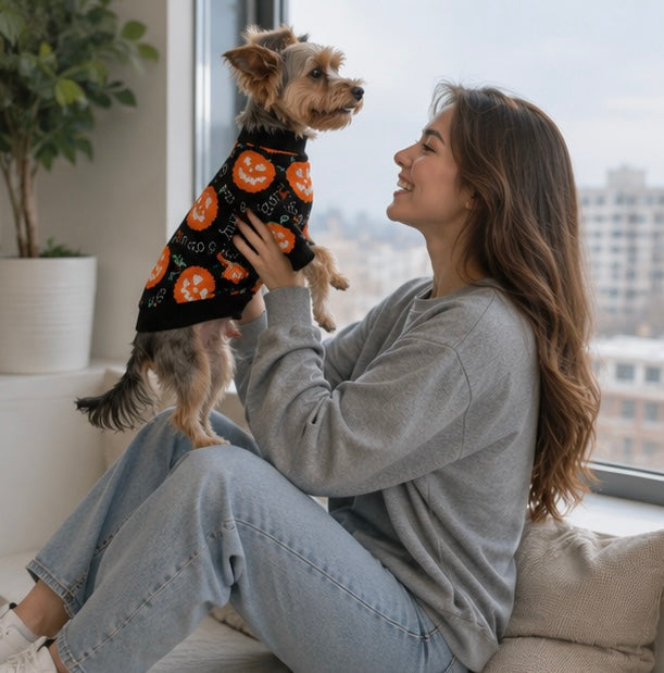 Festive Jack-O'-Lantern Knit Pullover for Dogs & Cats – Soft Seasonal Outfit for Small Pets | Thomler