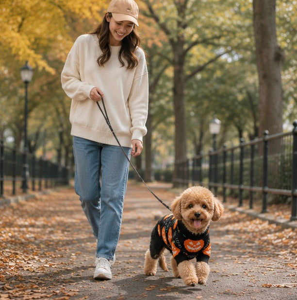 Festive Jack-O'-Lantern Knit Pullover for Dogs & Cats – Soft Seasonal Outfit for Small Pets | Thomler