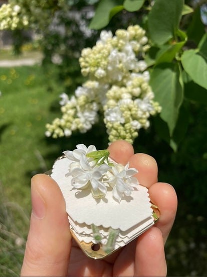 Compact Metal Botanical Press for Dried Flowers & Leaves – Portable Travel Herbarium Kit for Nature Journaling & Resin Crafts | Thomler