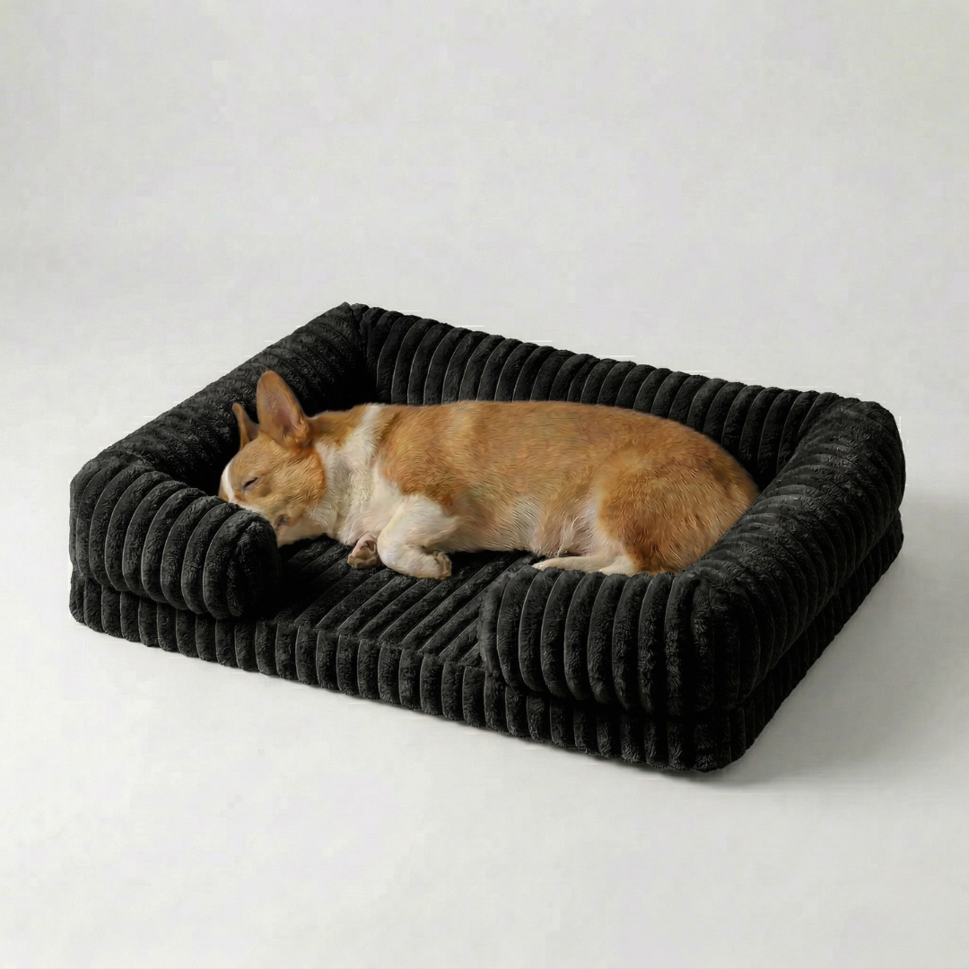 Orthopedic Dog Couch Bed with Bolster Sides – Memory Foam Pet Sofa for Small, Medium & Large Dogs | Thomler