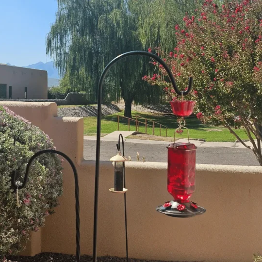 Glass Hummingbird Feeder with 6 Feeding Ports & Ant Moat – 24 fl oz Capacity for Backyard Birds | Thomler