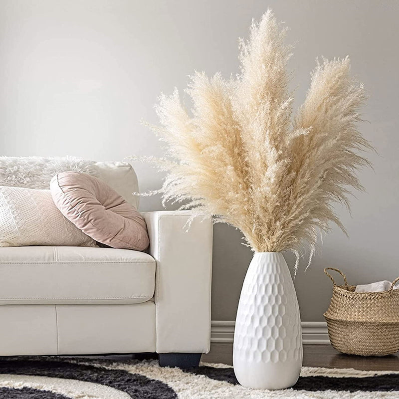 Decorative Dried Grass Plumes 15.7–29.5 in Natural Home Wedding Vase Arrangement | Thomler
