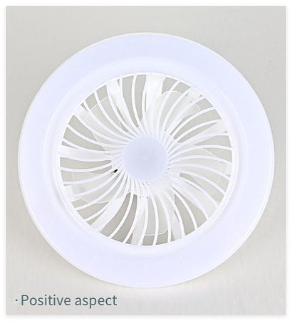 80W Ceiling Fan Light Combo 10 Inch Remote Control 3 Speed LED Flush Mount with Timer for Bedroom Living Room | Thomler