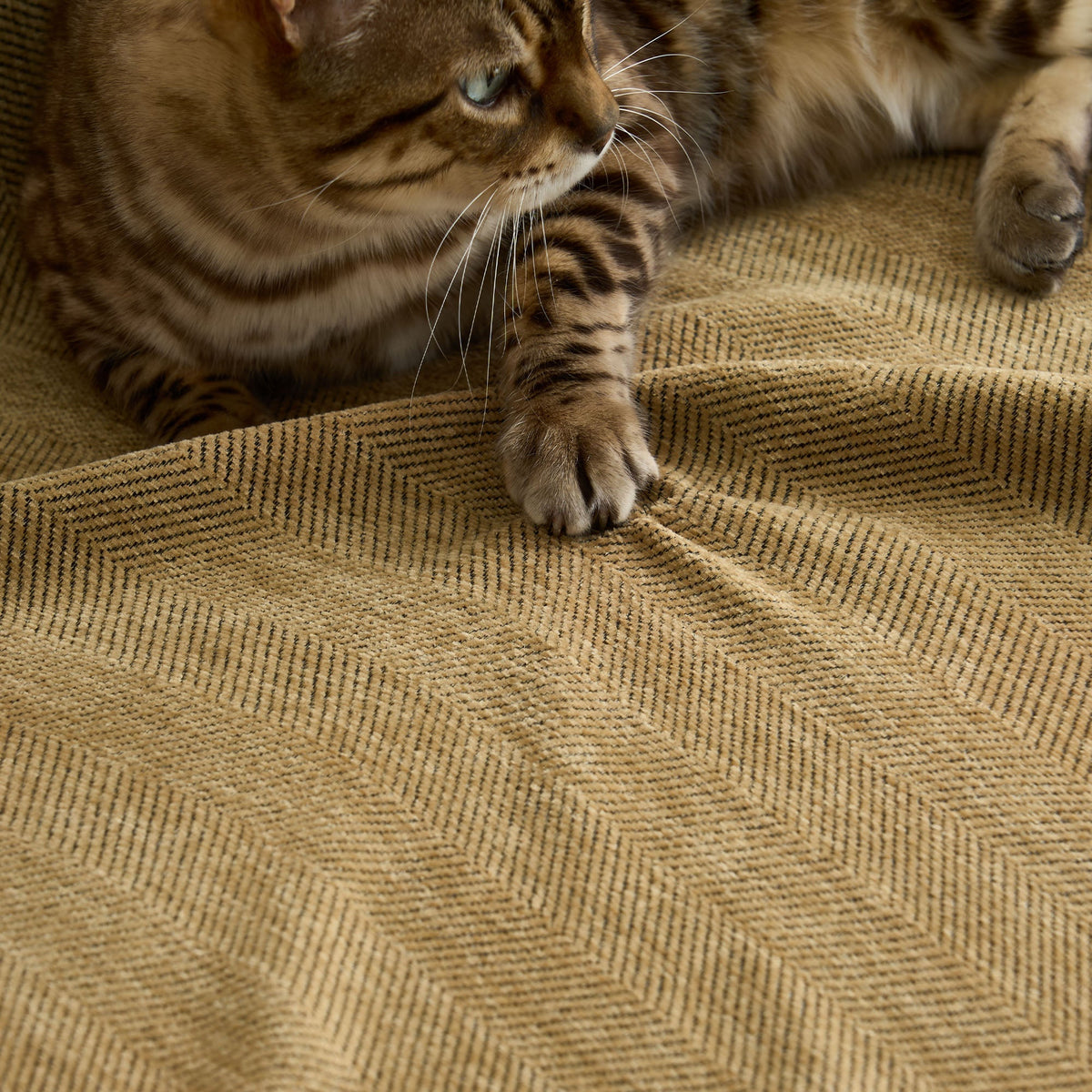 Textured Furniture Throw Blanket for Couches – Scratch-Resistant & Machine Washable | Thomler