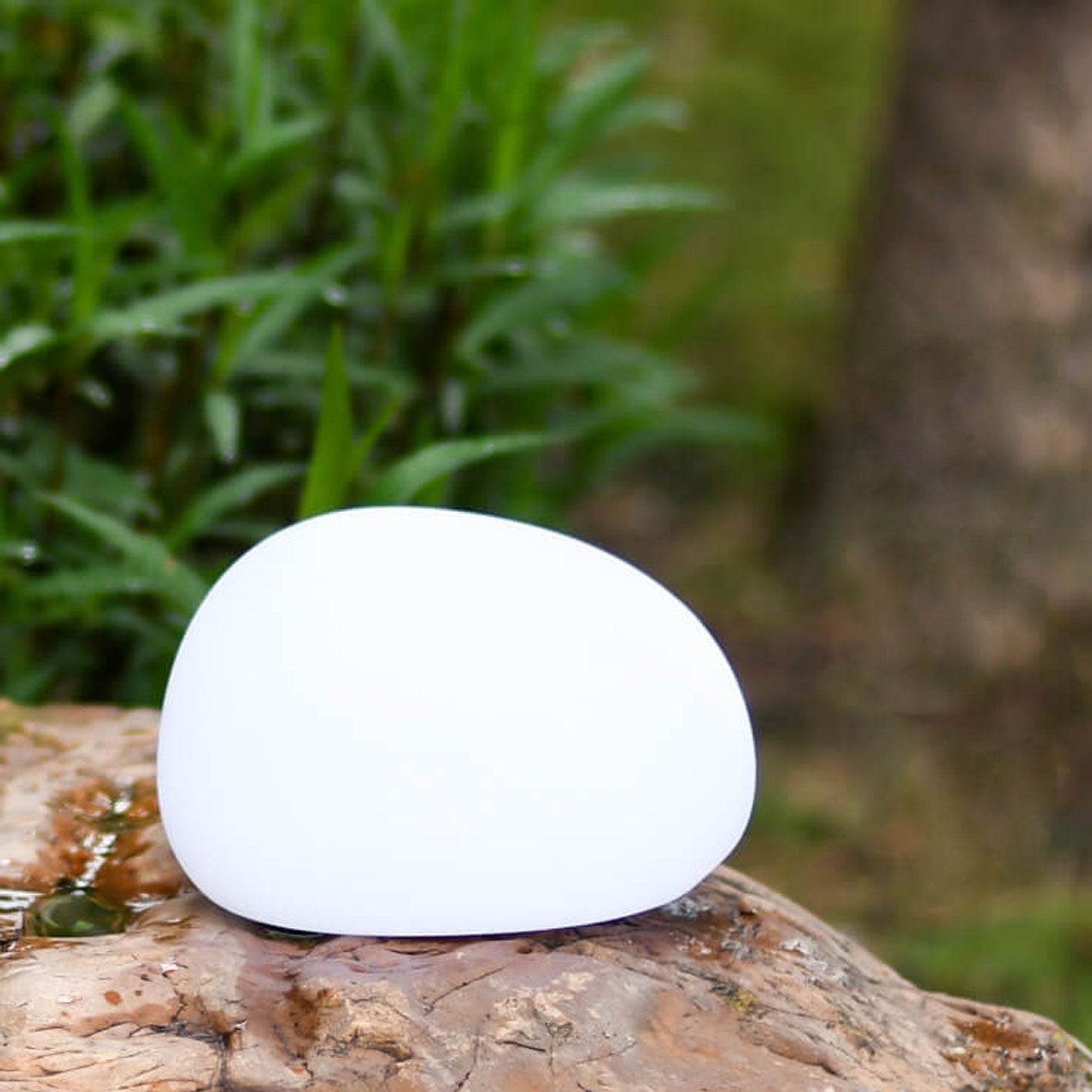 Outdoor Wall Light PE 0.5W Solar White 7.87 in Modern Patio Garden Pathway LED Fixture | Thomler