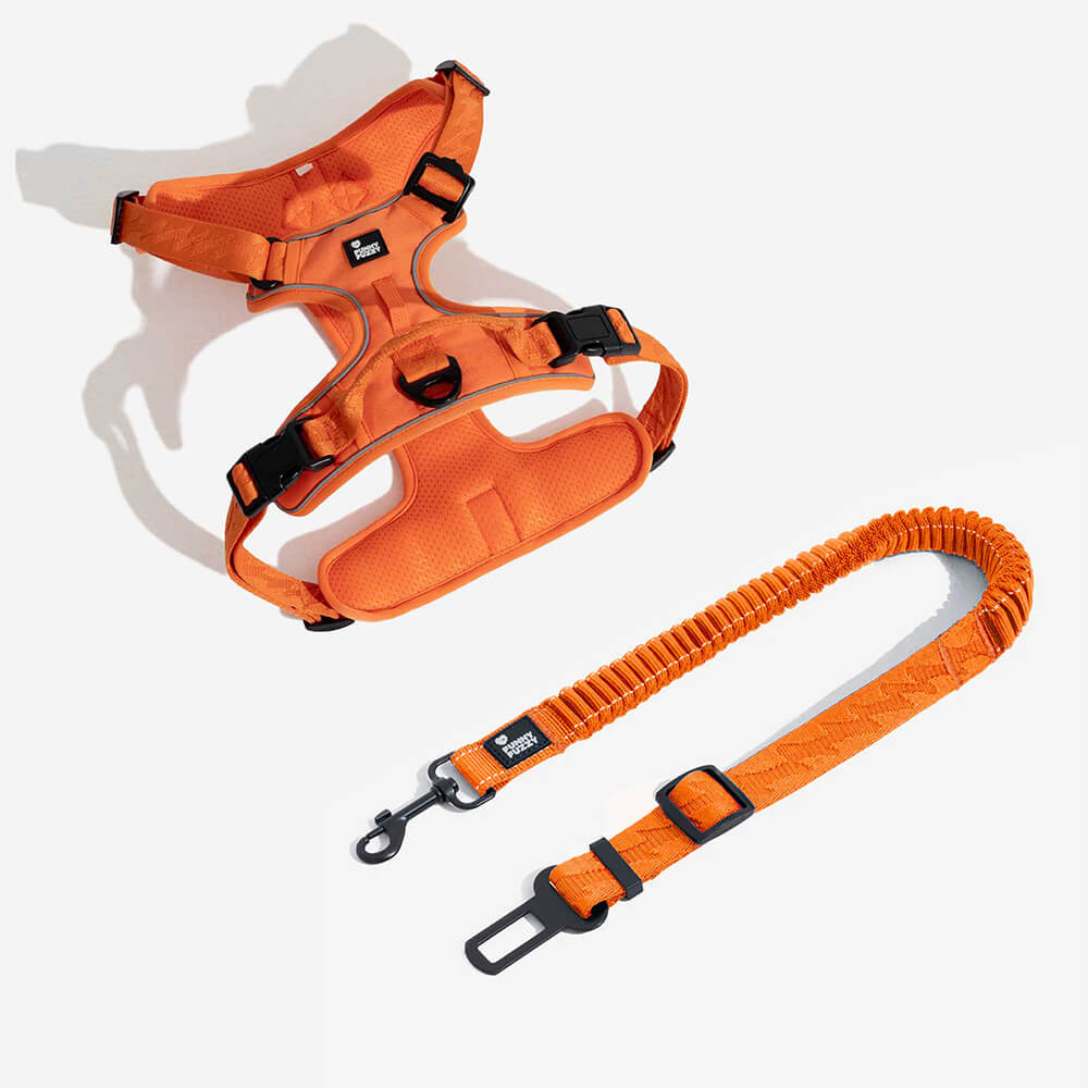 Adjustable Pet Safety Harness Tether for Car Travel with Reflective Strap & Elastic Shock Absorber for Dogs | Thomler