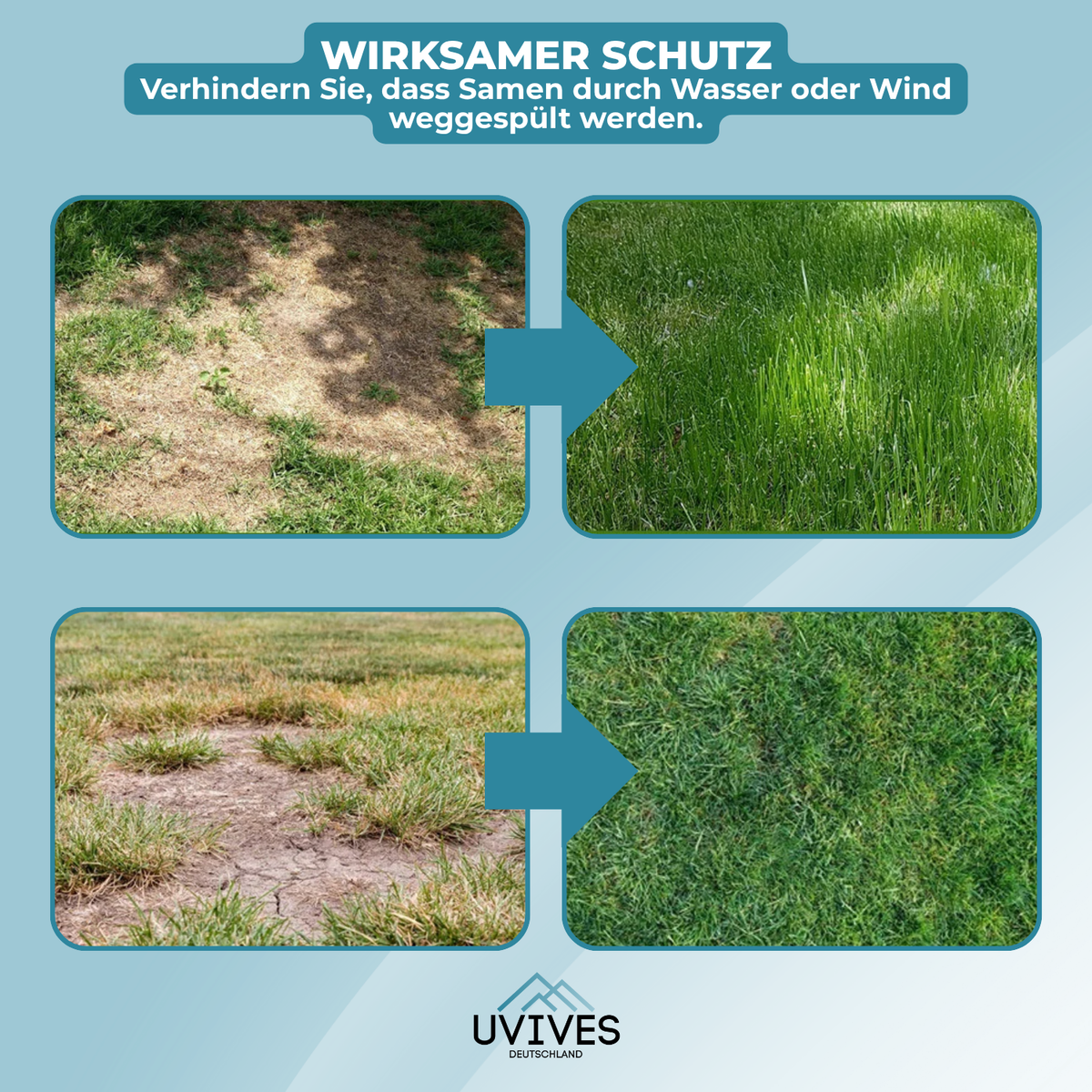Pre-Seeded Biodegradable Grass Roll for Instant Lawn Coverage – Roll Out, Water & Grow Dense Turf for Yard Patching, Garden Restoration & | Thomler