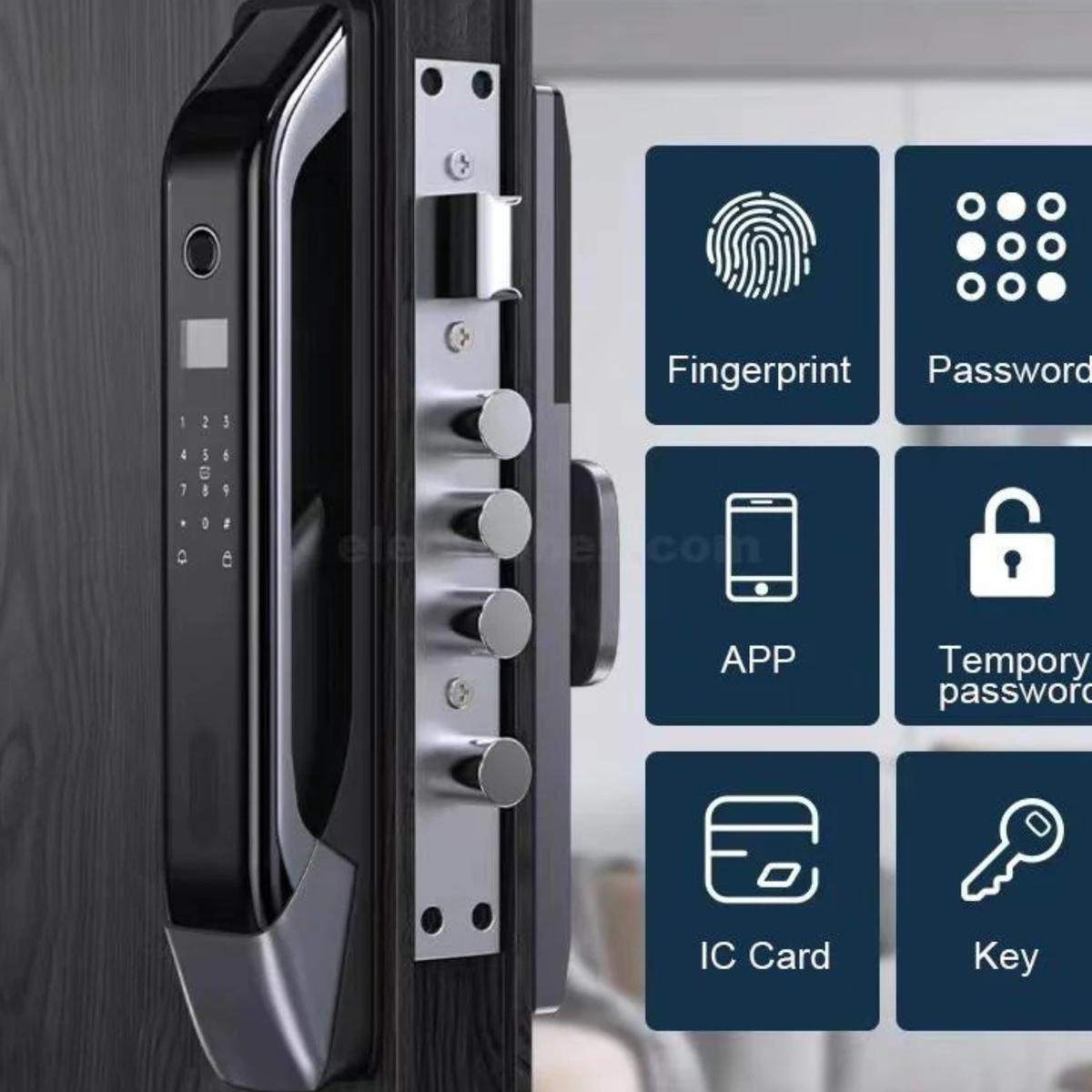 Facial Recognition Electronic Entry System with Video Intercom & Fingerprint Access | Thomler