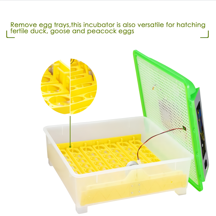 Automatic 56-Egg Incubator with Digital Display & Auto-Turn for Chickens, Ducks, Quail & Geese | Thomler