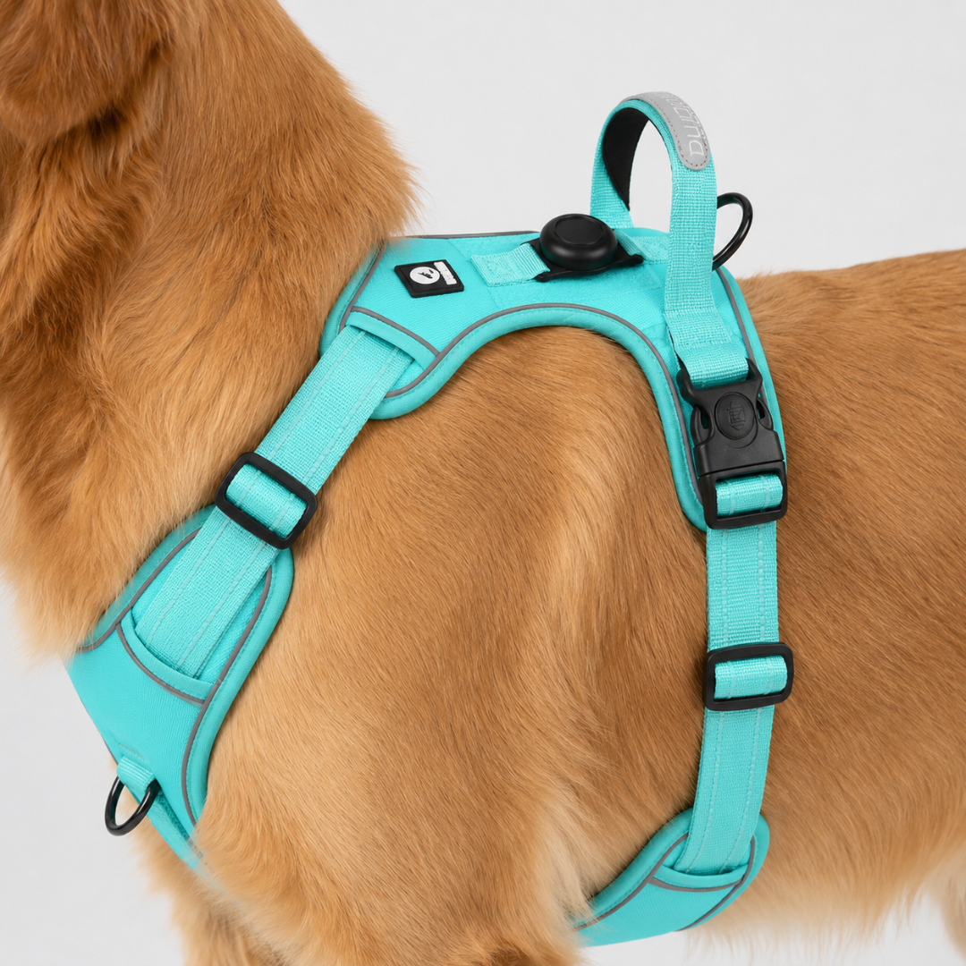 Adjustable Anti-Pull Dog Vest with Front Clip and Reflective Trim for Small to Large Breeds | Thomler