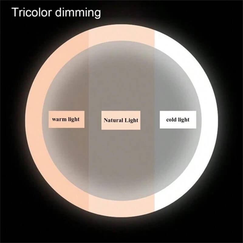 Makeup Mirror Metal Frame 40.0 cm LED Lighted Vanity Tabletop Rotating Dimmable Rechargeable Beauty Grooming Mirror | Thomler