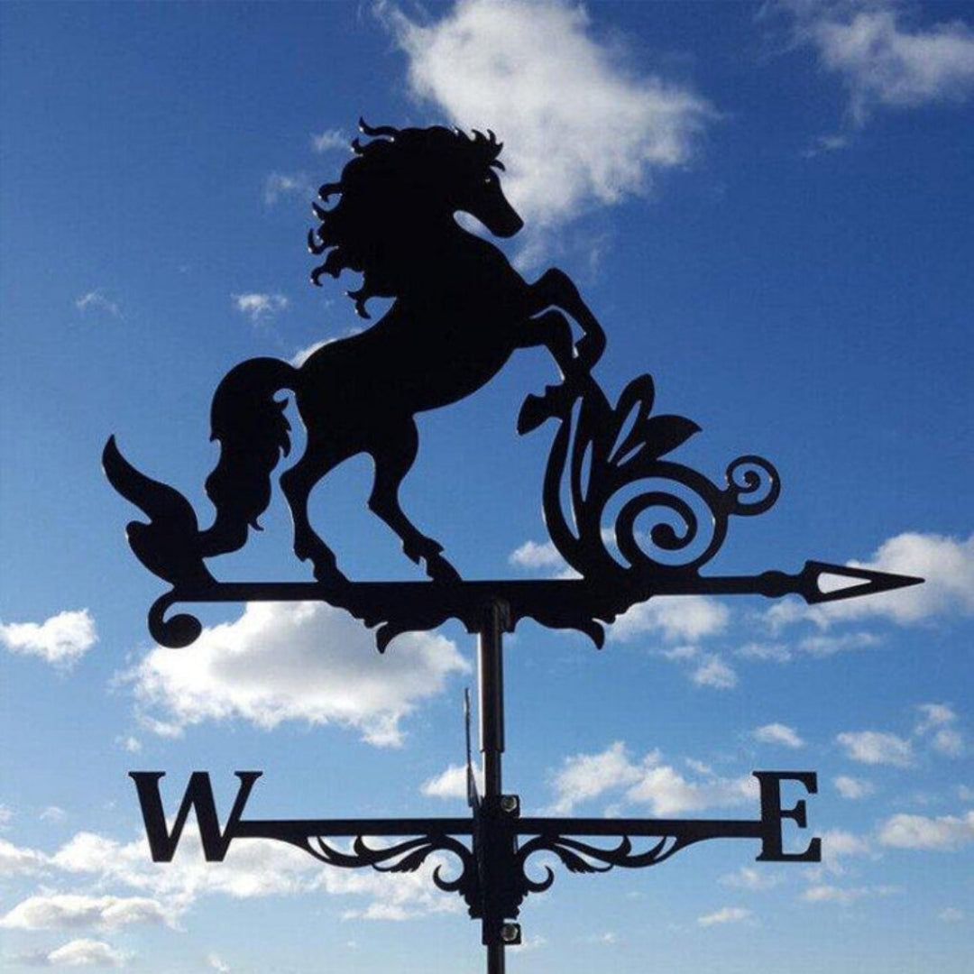 Decorative Weather Vane for Yard – Stainless Steel Wind Direction Indicator, Weatherproof Garden Accent | Thomler
