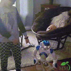 Interactive Gesture-Control Robot for Kids – Dancing, Musical Learning Toy with Voice & Programming | Educational STEM Playtime Companion | Thomler