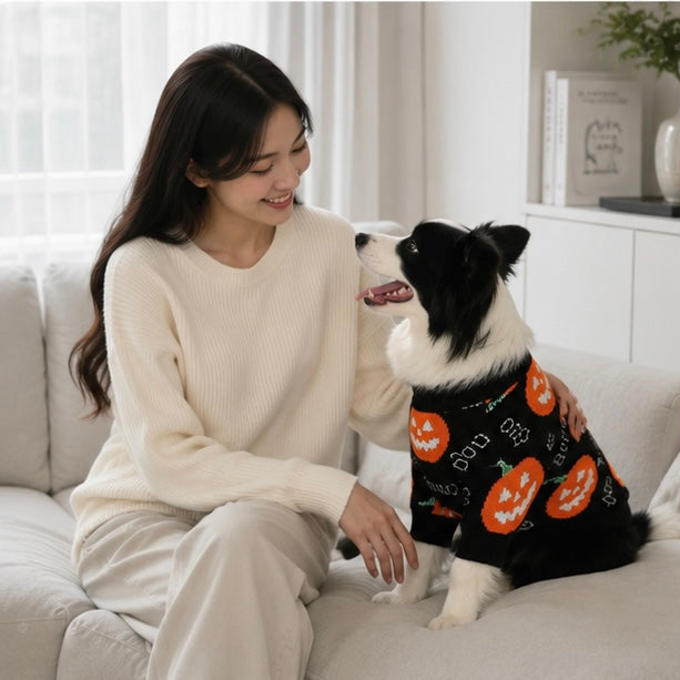 Festive Jack-O'-Lantern Knit Pullover for Dogs & Cats – Soft Seasonal Outfit for Small Pets | Thomler