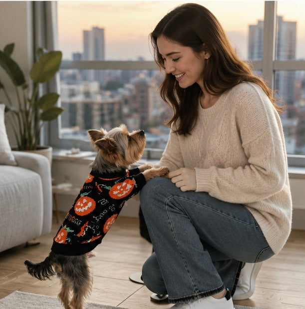 Festive Jack-O'-Lantern Knit Pullover for Dogs & Cats – Soft Seasonal Outfit for Small Pets | Thomler