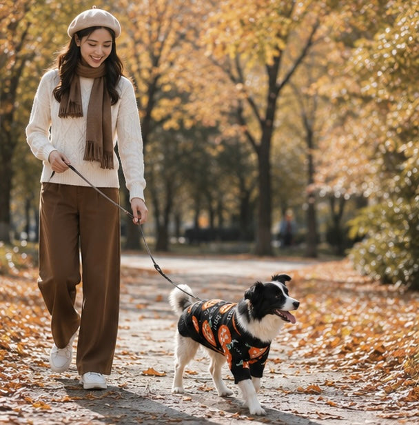 Festive Jack-O'-Lantern Knit Pullover for Dogs & Cats – Soft Seasonal Outfit for Small Pets | Thomler