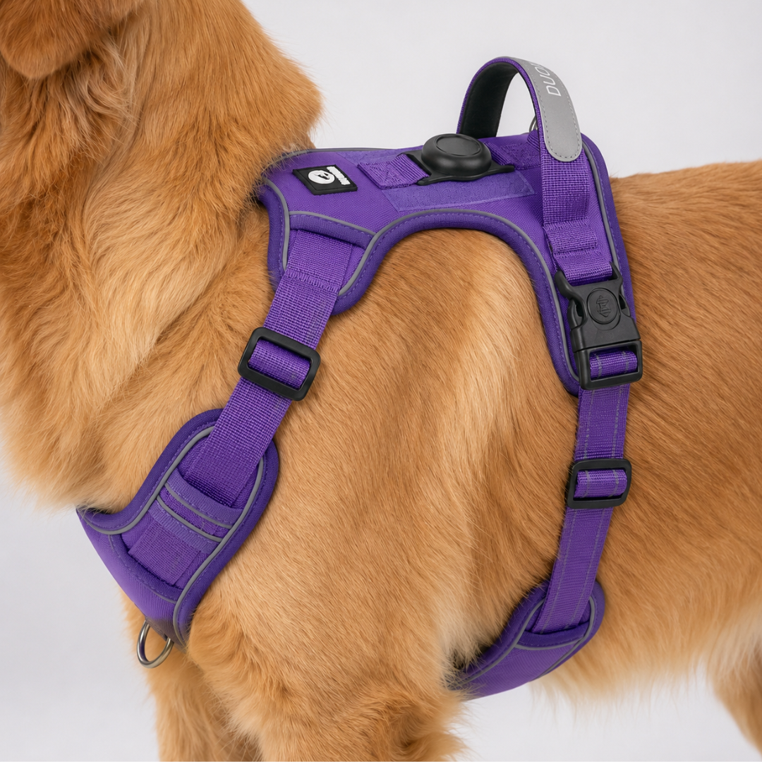 Adjustable Anti-Pull Dog Vest with Front Clip and Reflective Trim for Small to Large Breeds | Thomler
