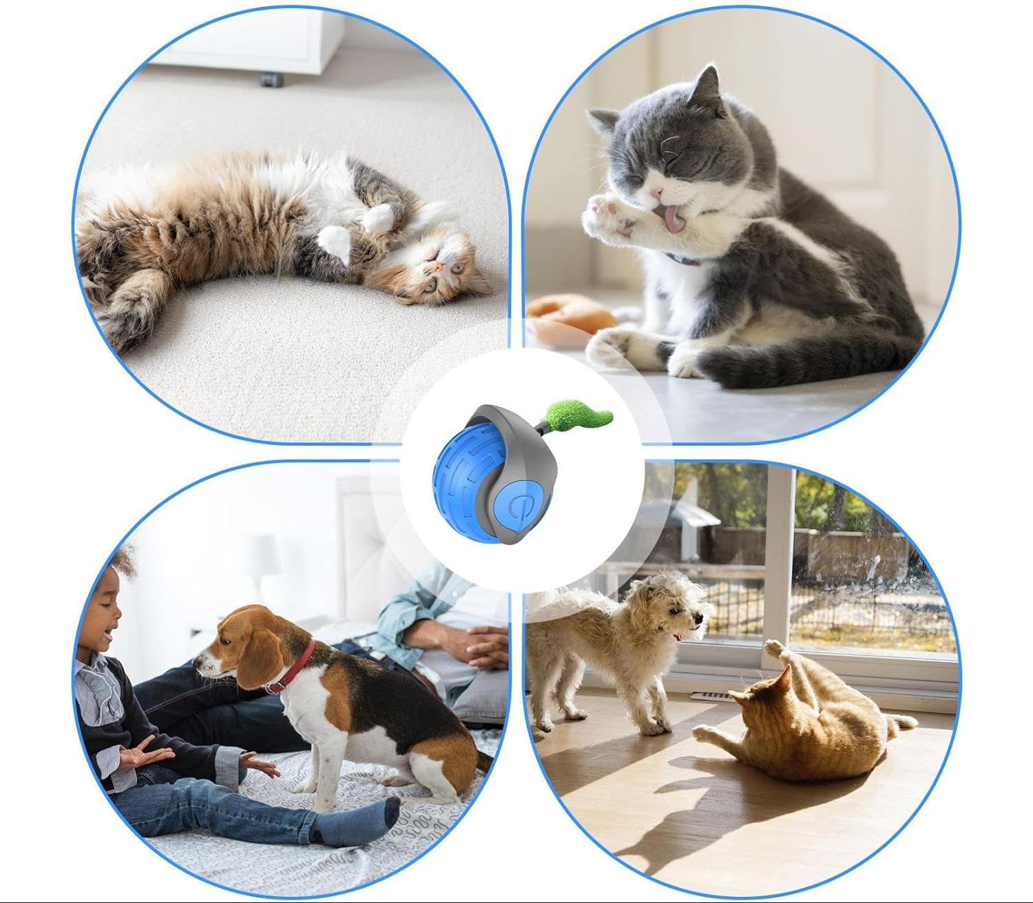 Self-Rolling Cat Ball with Feather Tail for Indoor Play – USB Rechargeable Obstacle-Sensing Pet Entertainment Toy | Thomler