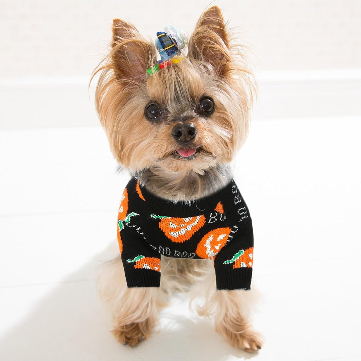 Festive Jack-O'-Lantern Knit Pullover for Dogs & Cats – Soft Seasonal Outfit for Small Pets | Thomler