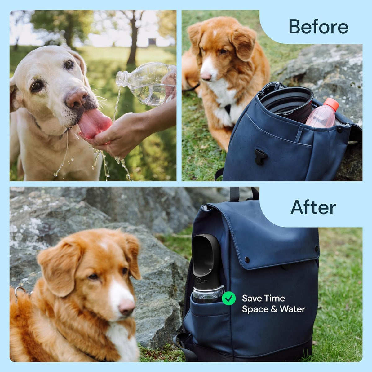 Travel Hydration Dispenser for Dogs with Flip-Top Bowl – 19 fl oz Leak-Proof Design | Thomler