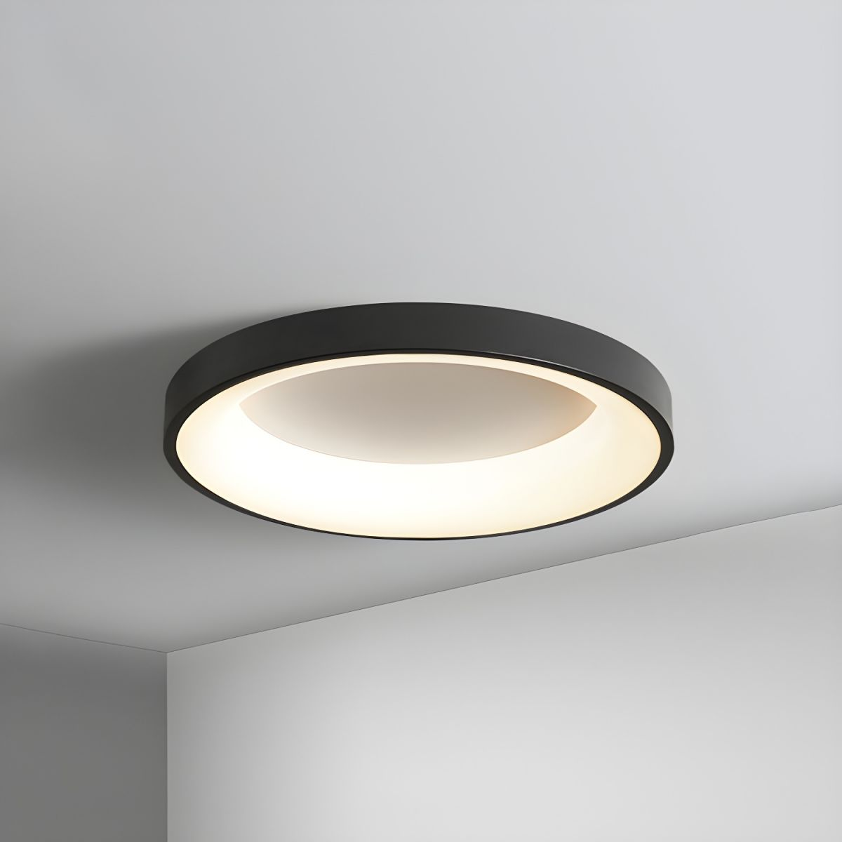 Ceiling Light Iron Acrylic LED Flush Mount Low Ceiling Bedroom Hallway Living Room Modern Round Lighting Fixture | Thomler